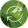 Summit_Brands_Green_Chemistry_icon Green chemistry icon
